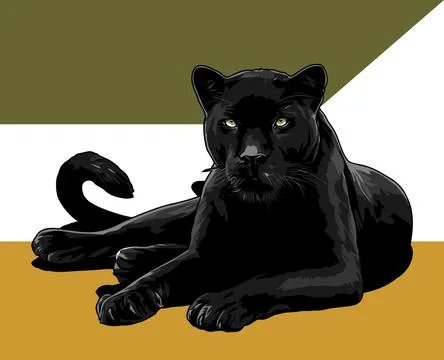 Black panther is lying down vector template Stock Illustration