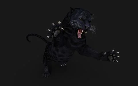 Black Panther Pose Illustrazione stock