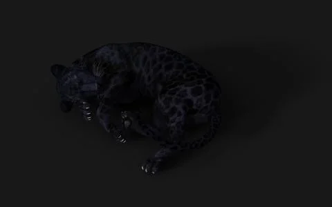 Black Panther Pose Illustrazione stock