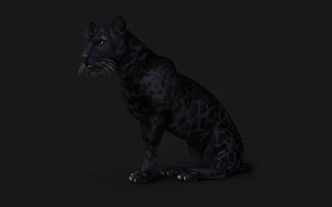 Black Panther Pose Illustrazione stock