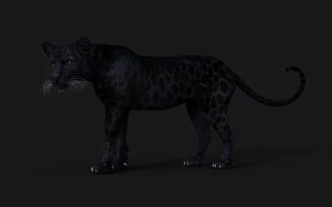 Black Panther Pose Illustrazione stock