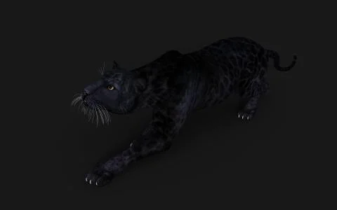 Black Panther Pose Illustrazione stock