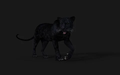 Black Panther Pose Illustrazione stock