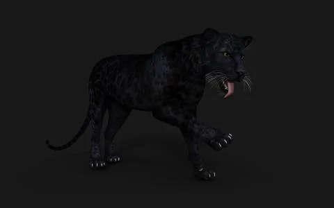 Black Panther Pose Illustrazione stock