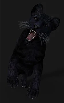 Black Panther Pose Illustrazione stock