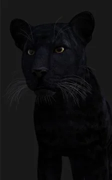 Black Panther Pose Stock Illustration