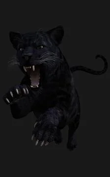 Black Panther Pose Illustrazione stock