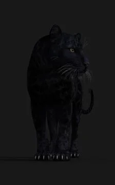 Black Panther Pose Illustrazione stock