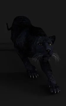 Black Panther Pose Illustrazione stock