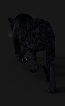 Black Panther Pose Illustrazione stock