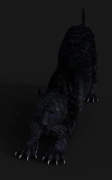 Black Panther Pose Illustrazione stock