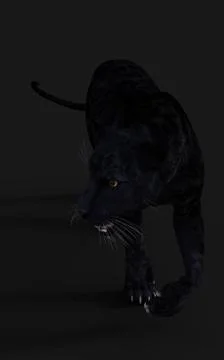 Black Panther Pose Illustrazione stock