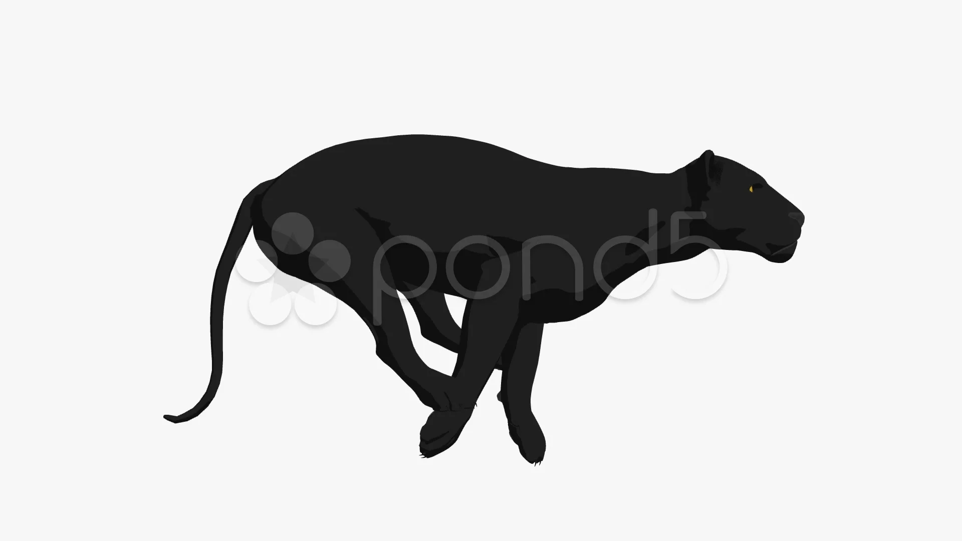 black panther running