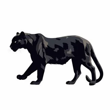 Black panther vector on white background Illustrazione stock
