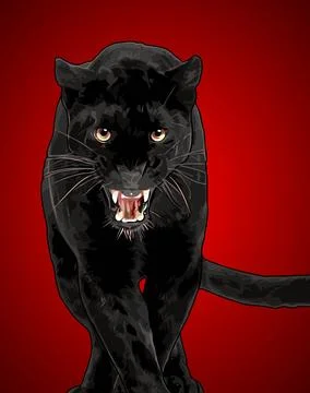 Black panther is walking vector template Stock Illustration