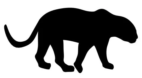 Black panther is walking on a white background. The panther is the main focus of Stock Illustration