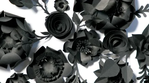 Black paper flowers on a white background are spinning in a circle Stock Footage