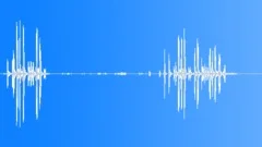 Black Parrot CU Song Sound Effect