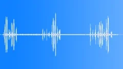 Black Parrot MCU CallsSound Effect