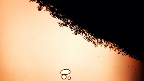 Black Particles and Bubbles in Water Stock Footage 135813761