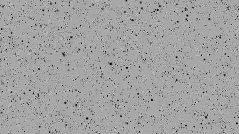 Black particles drifting through white mist cinematic loop Stockbeeldmateriaal 335602819