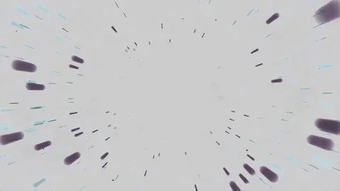 Black Particles Pattern Animation Background  Stock Footage 240340695