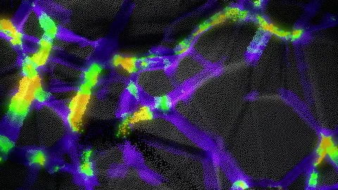 Black particles pulsate, forming a bright colored glow. animation, background 4K Stock Footage 202606411