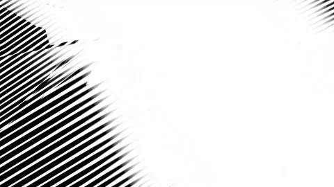 Black pattern. Stock Footage 276562566