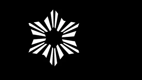 Black pattern. Stock Footage 280828760