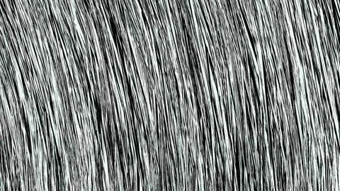 Black pattern. Stock-Footage 310577817