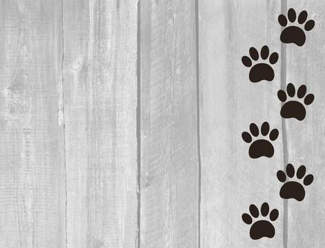 Black paw prints animal on white old wooden boards texture. Stock Photos