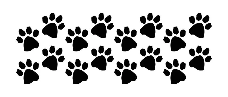Black paw prints seamless pattern banner, Animal footprint texture background Stock-Illustration