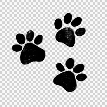 Black Paw Prints on Transparent Background Stock Illustration
