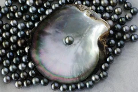 Black pearls Foto stock