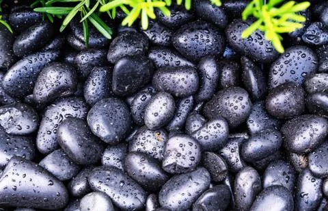 Black Pebble Stock Photos