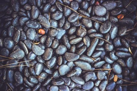 Black pebbles; beautiful texture background with copy space Stock Photos