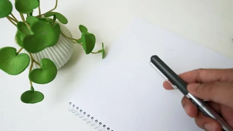 Black Pen and Notebook with Potted Plant Stock Footage 320726069