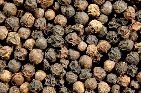 Black pepper balls Stock Photos