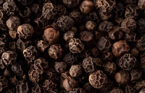 Black pepper bed covered in full screen macro. Close up Stock Photos