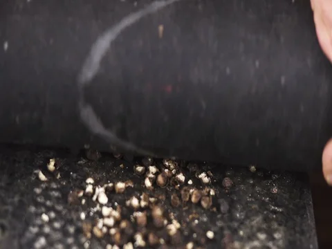 Black Pepper being Grinded in Traditional Indian way Stockbeeldmateriaal 80418254