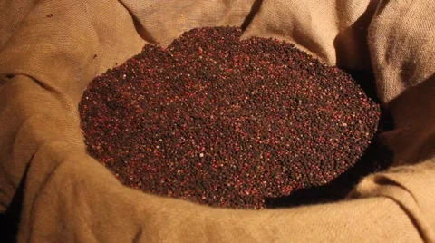 Black Pepper in Burlap Sack Stock Footage 58830905
