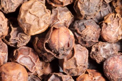 Black pepper corns 写真素材