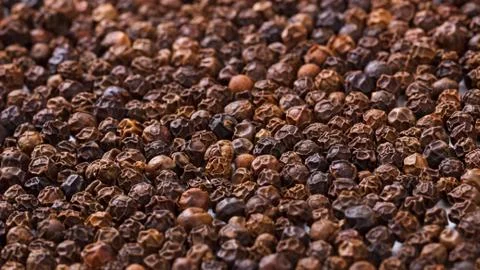 Black pepper corns Stock Photos
