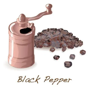 Black pepper  corns vector Stock Illustration
