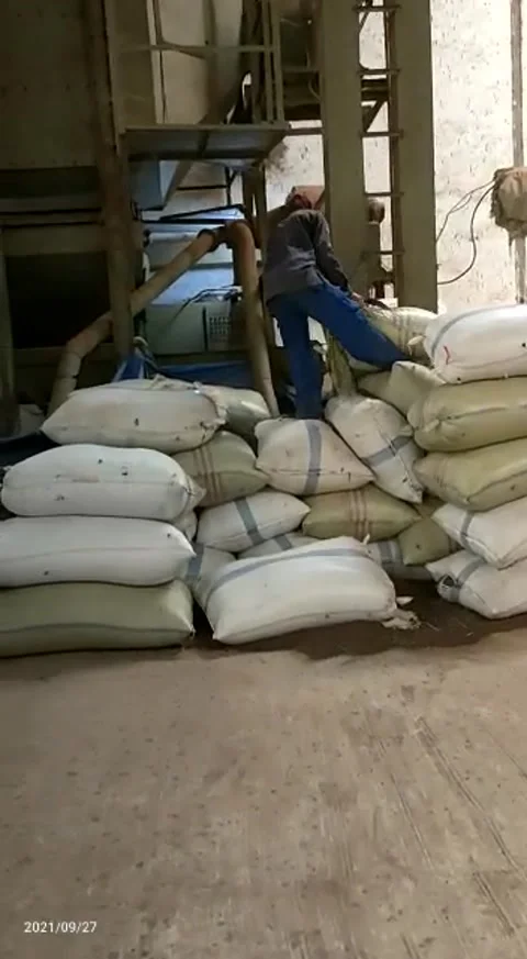 Black pepper  스톡 동영상 209928361