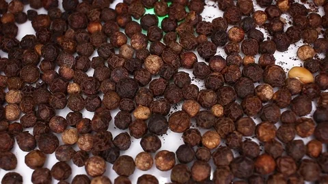 Black pepper ground pepper whole grains Stock Footage 113200990
