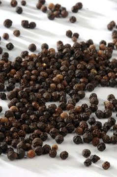 Black pepper on a light background Stock Photos