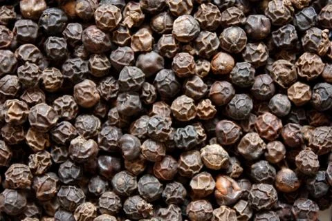 Black pepper Stock Photos