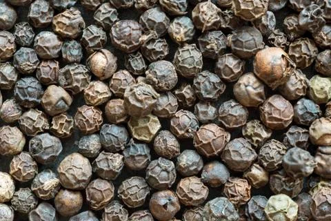 Black pepper Stock-Fotos