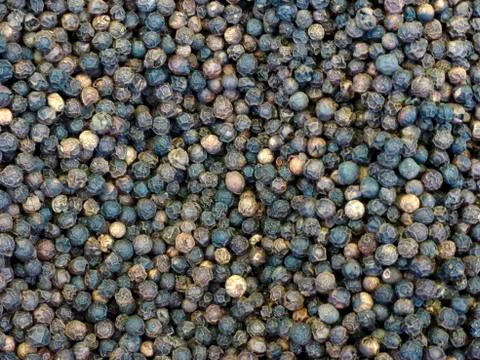 Black pepper Stock Photos